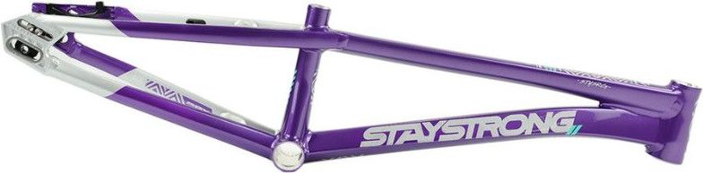 Cadre Stay Strong For Life V5.1 Expert XL Violet/Silver