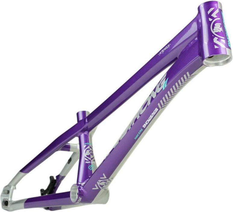 Cadre Stay Strong For Life V5.1 Expert XL Violet/Silver