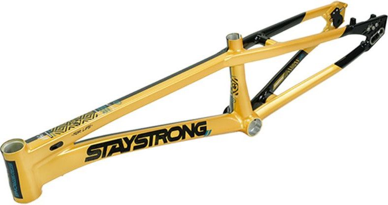 Cadre Stay Strong For Life V5.1 Pro Or/Noir