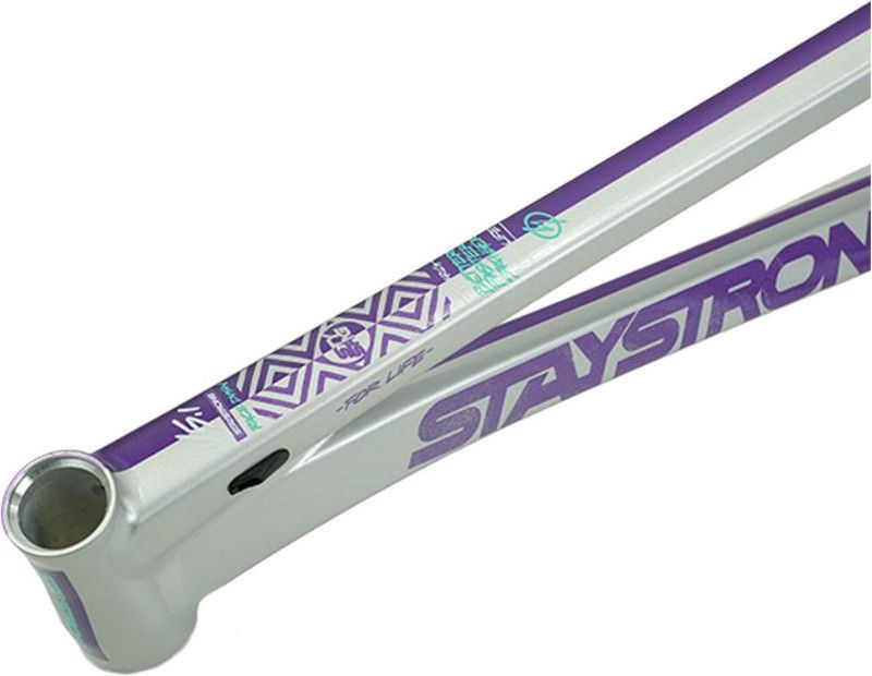 Cadre Stay Strong For Life V5.1 Pro 2XL Violet/Silver