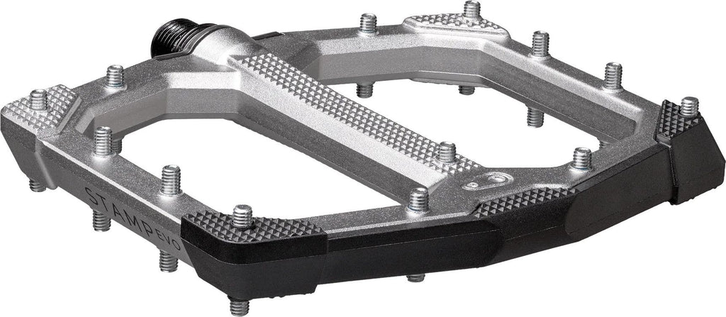Paire de Pédales Plates Crankbrothers Stamp Evo - Large Argent