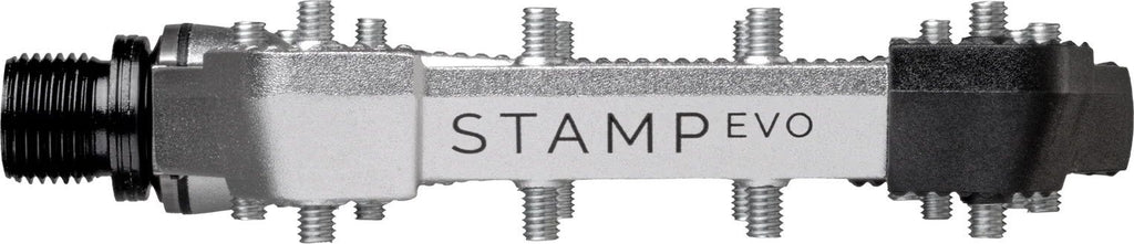 Paire de Pédales Plates Crankbrothers Stamp Evo - Small Argent