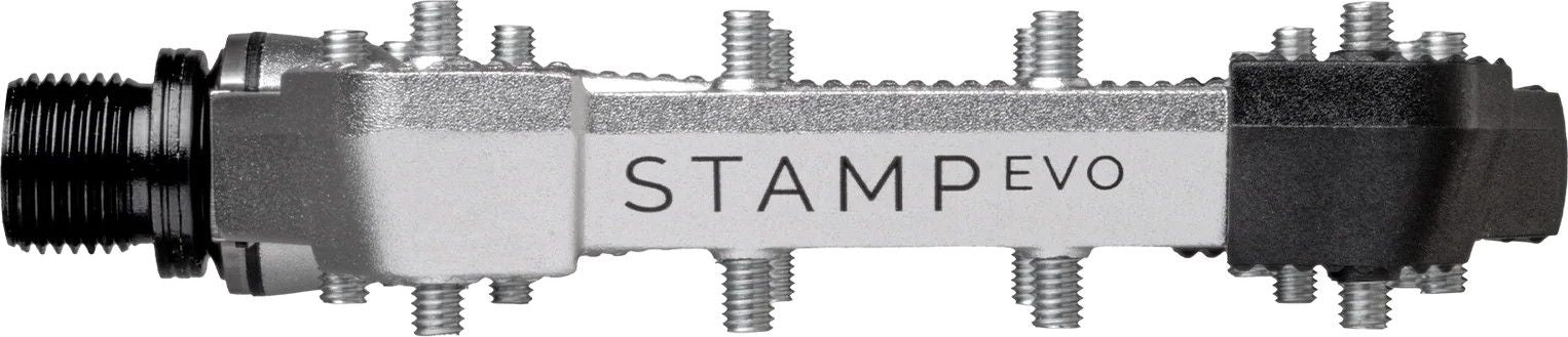 Paire de Pédales Plates Crankbrothers Stamp Evo - Small Argent