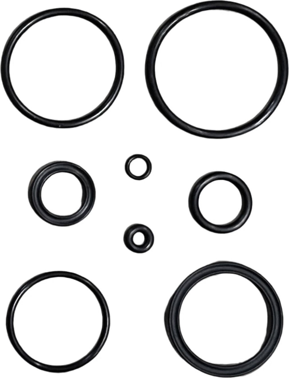 Kit Joints pour Amortisseur SR Suntour RS18 TriAir 1 (RBA599-01)